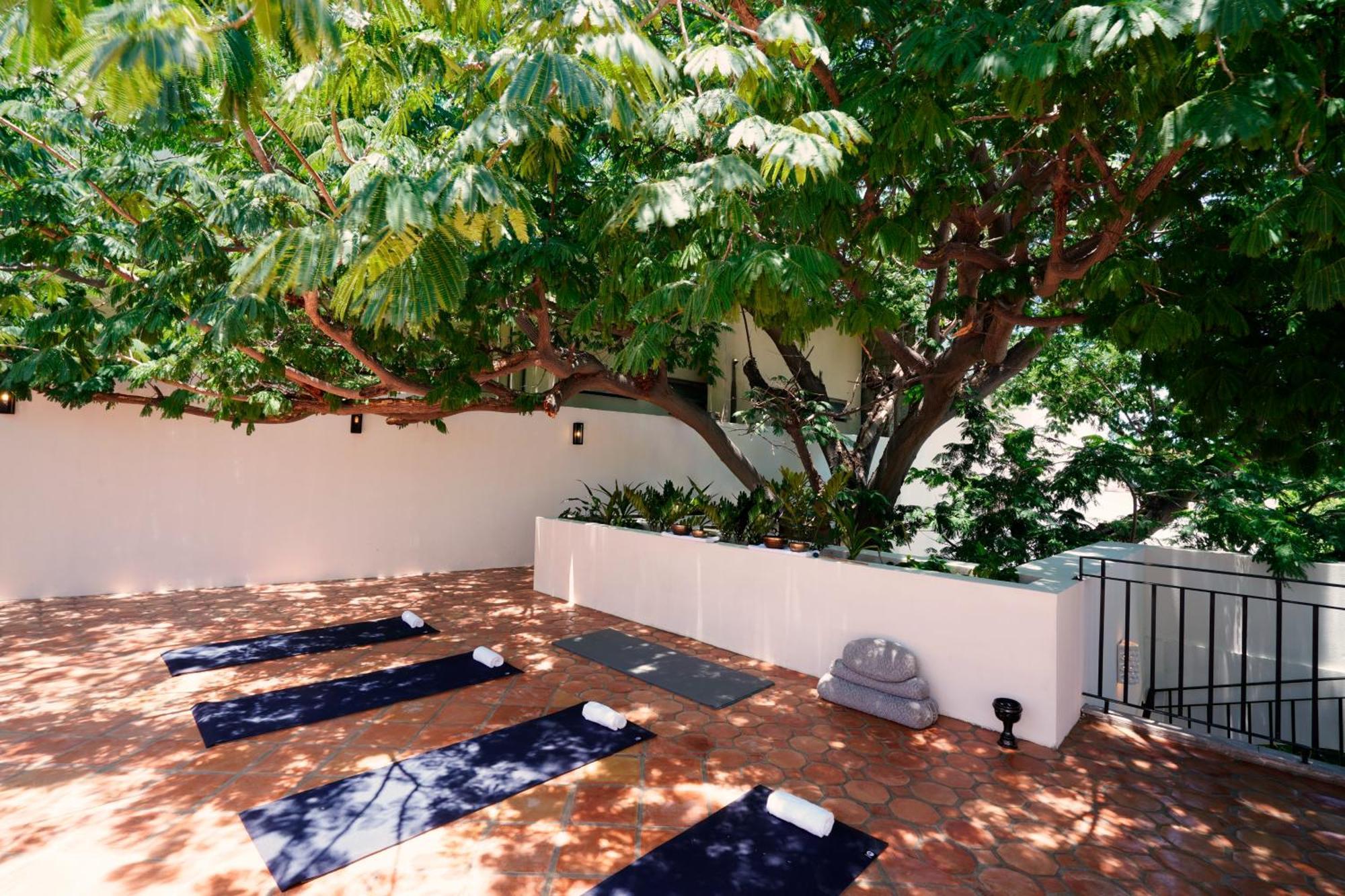 Tropicana Los Cabos, Tapestry Collection By Hilton San José del Cabo 外观 照片